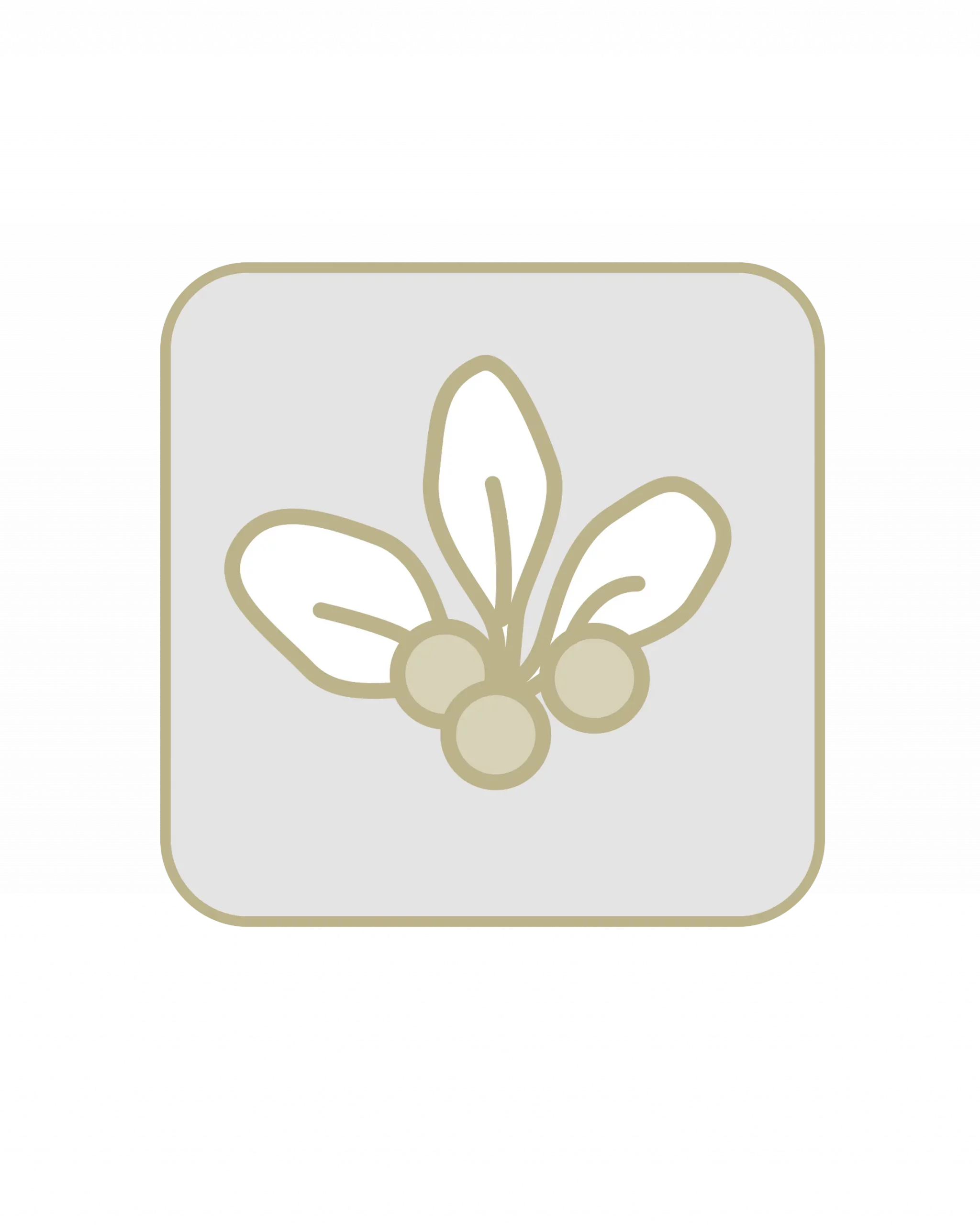 Bearberry Icon
