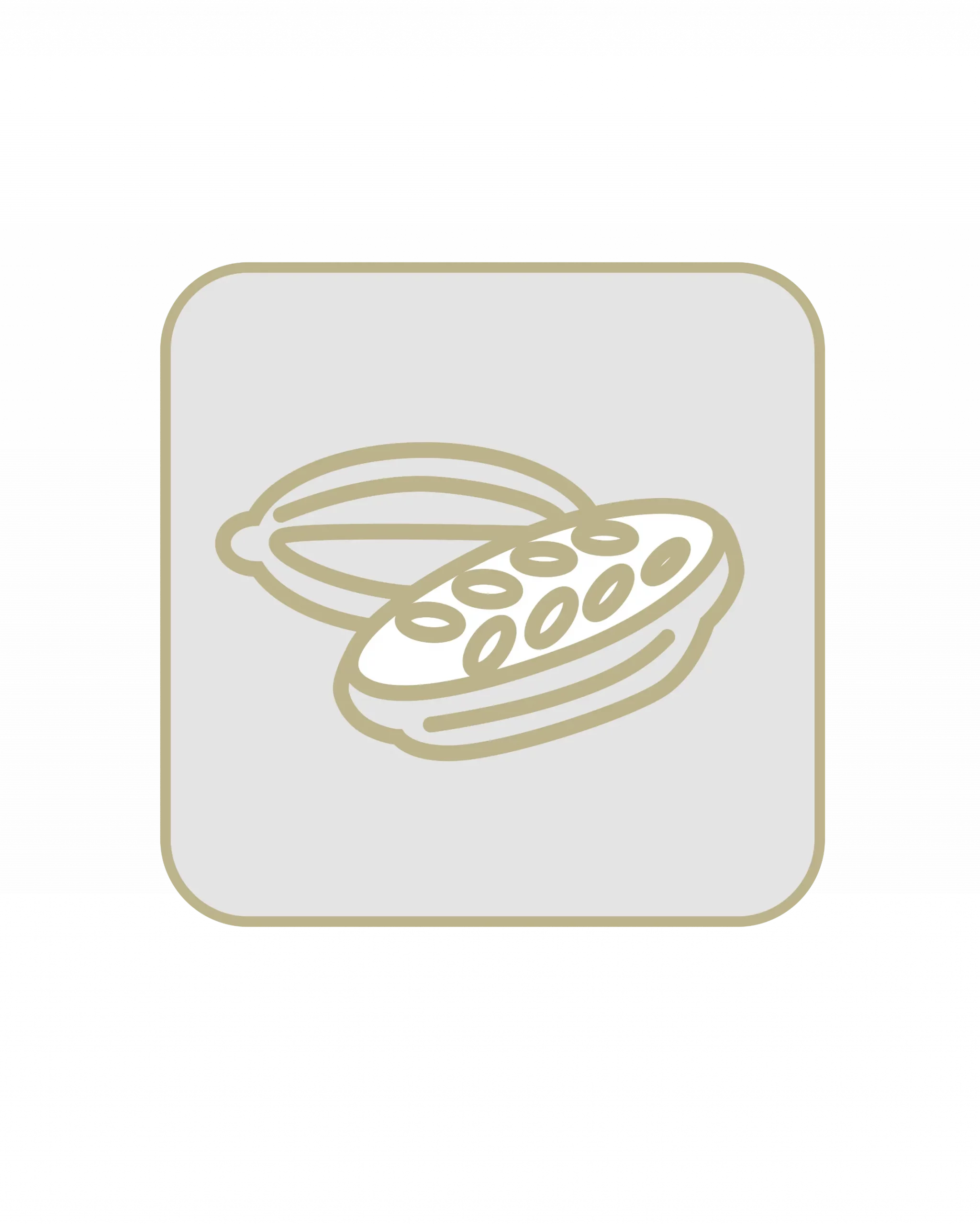Nano-Cocoa Icon